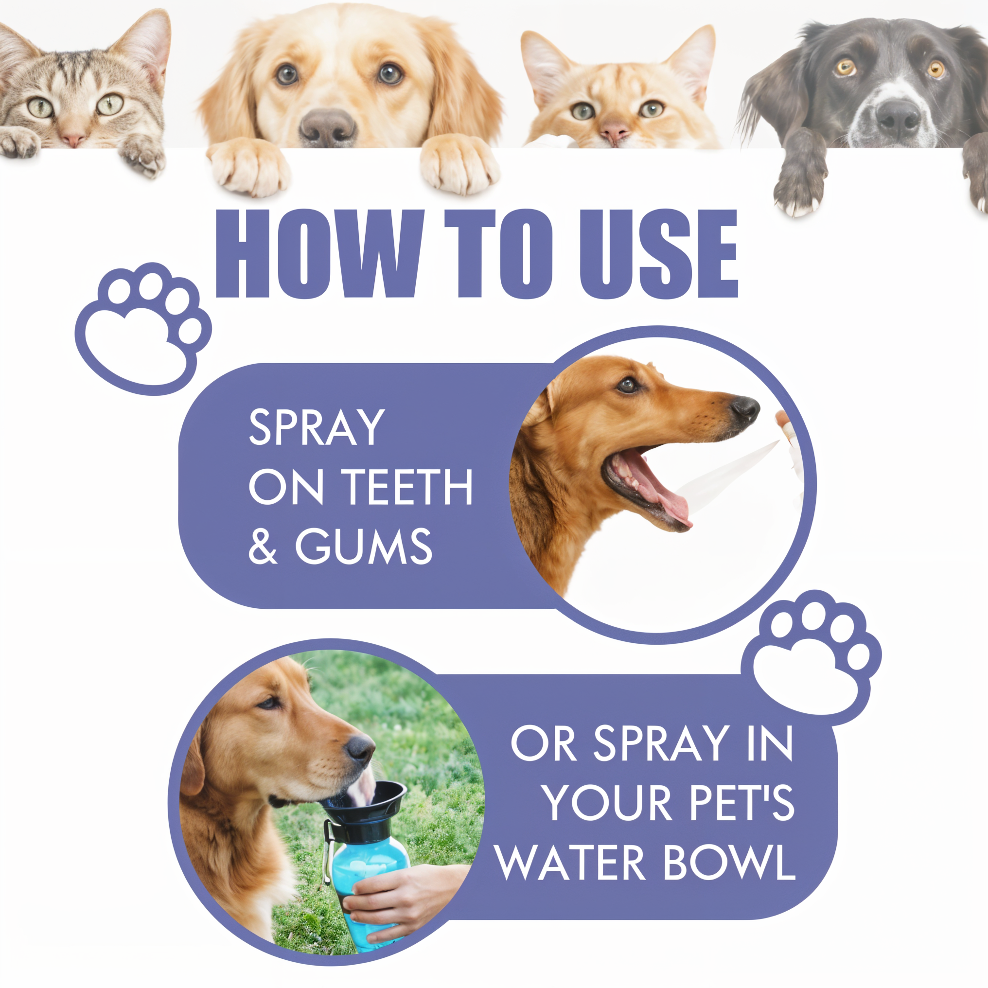 Spray rinfrescante per alito animale