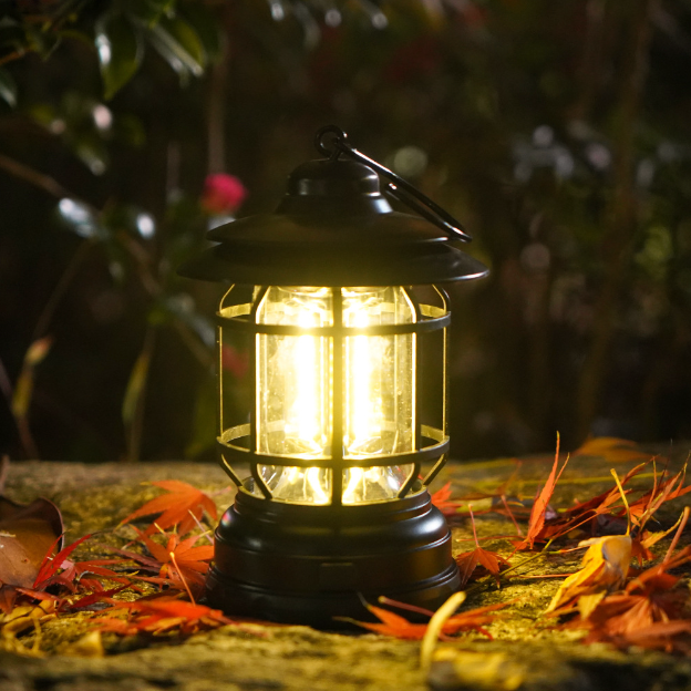 Lampada Smart Retrò | Ricaricabile